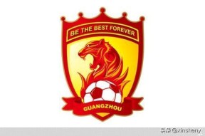 jnh-广州恒大主场战胜山东鲁能，积分榜稳居榜首的简单介绍