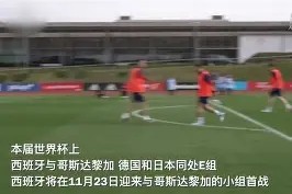 jnh-居住在日本的西班牙球迷为国家队欧洲之旅加油(西班牙日本男足)