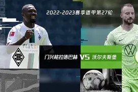 金年会体育-关于沃尔夫斯堡主帅公开表态，力争本赛季取得佳绩的信息