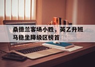 金年会体育-桑德兰客场小胜，英乙升班马稳坐降级区榜首的简单介绍